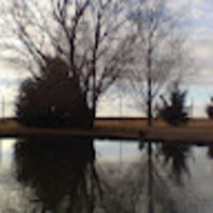 Meet your Posher, Lily